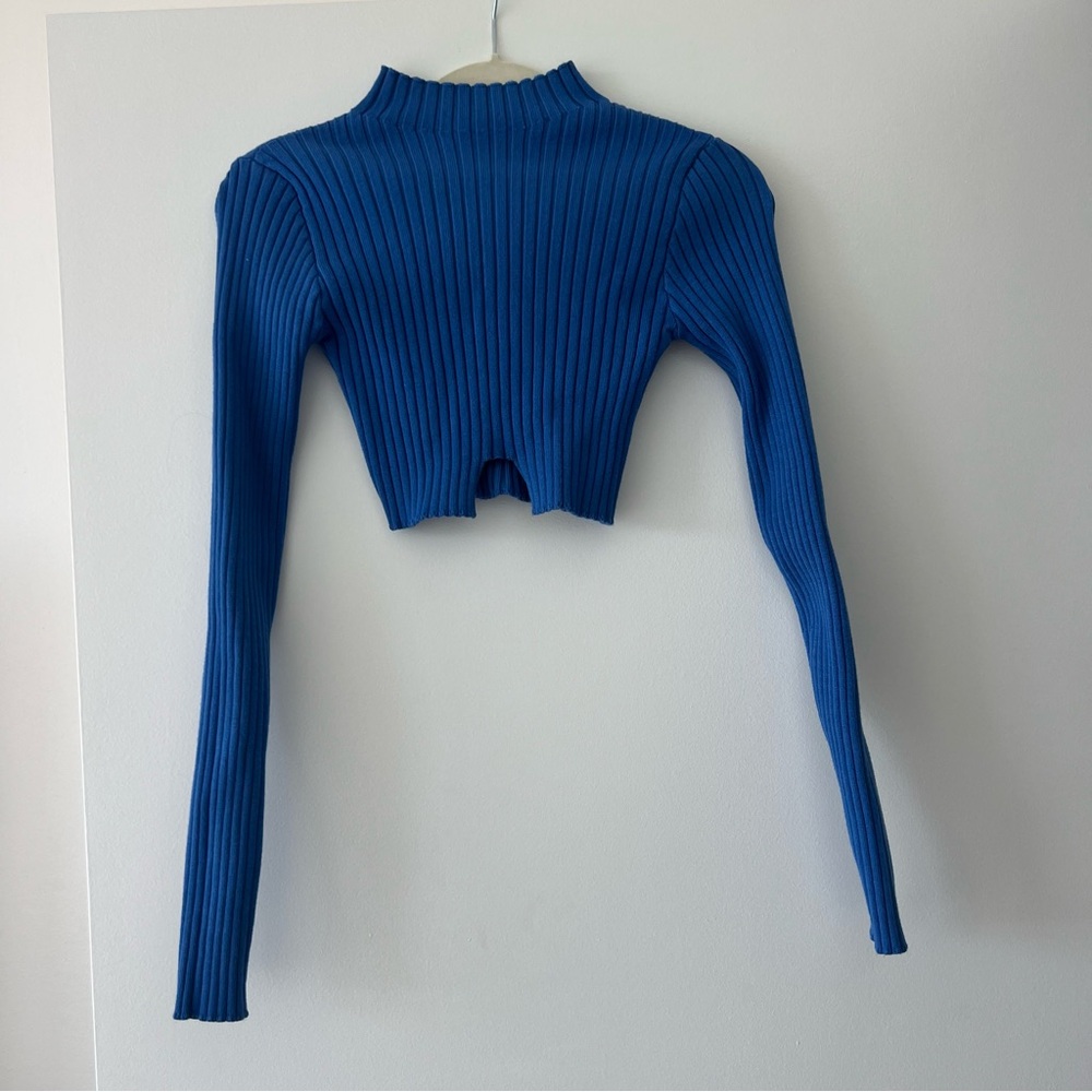 Edikted cropped turtleneck sweater